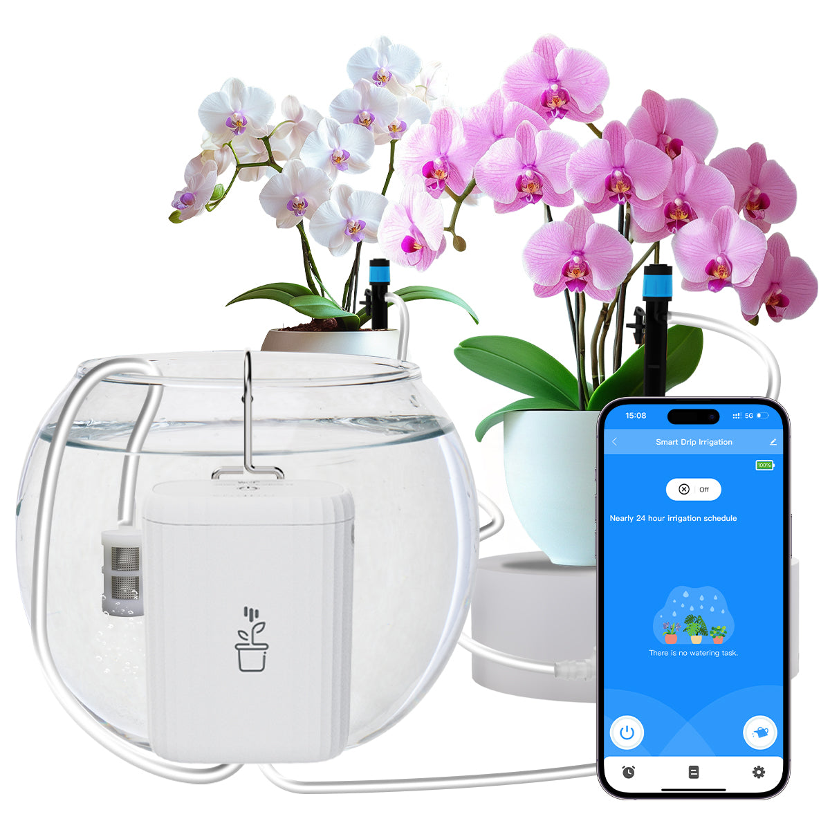 Lifeinnov 2.4GHz WiFi Intelligent Hose Timer, Tuya/Smart Life App Control for Garden Watering (10 Zones)