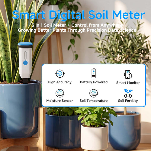 Lifeinnov Soil Moisture Sensor with Soil Temperature, Smart Life App Plant Monitor for Indoor Plants, 2.4 GHz without Hub, Alarm in Too Dry or Wet Soil, Gradient, Data Export