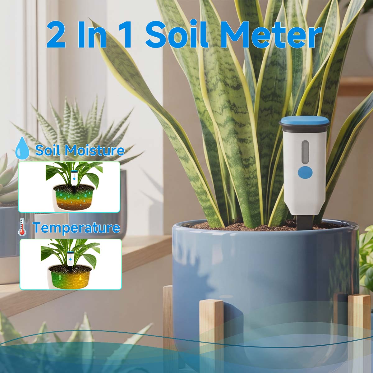 Lifeinnov Soil Moisture Sensor with Soil Temperature, Smart Life App Plant Monitor for Indoor Plants, 2.4 GHz without Hub, Alarm in Too Dry or Wet Soil, Gradient, Data Export