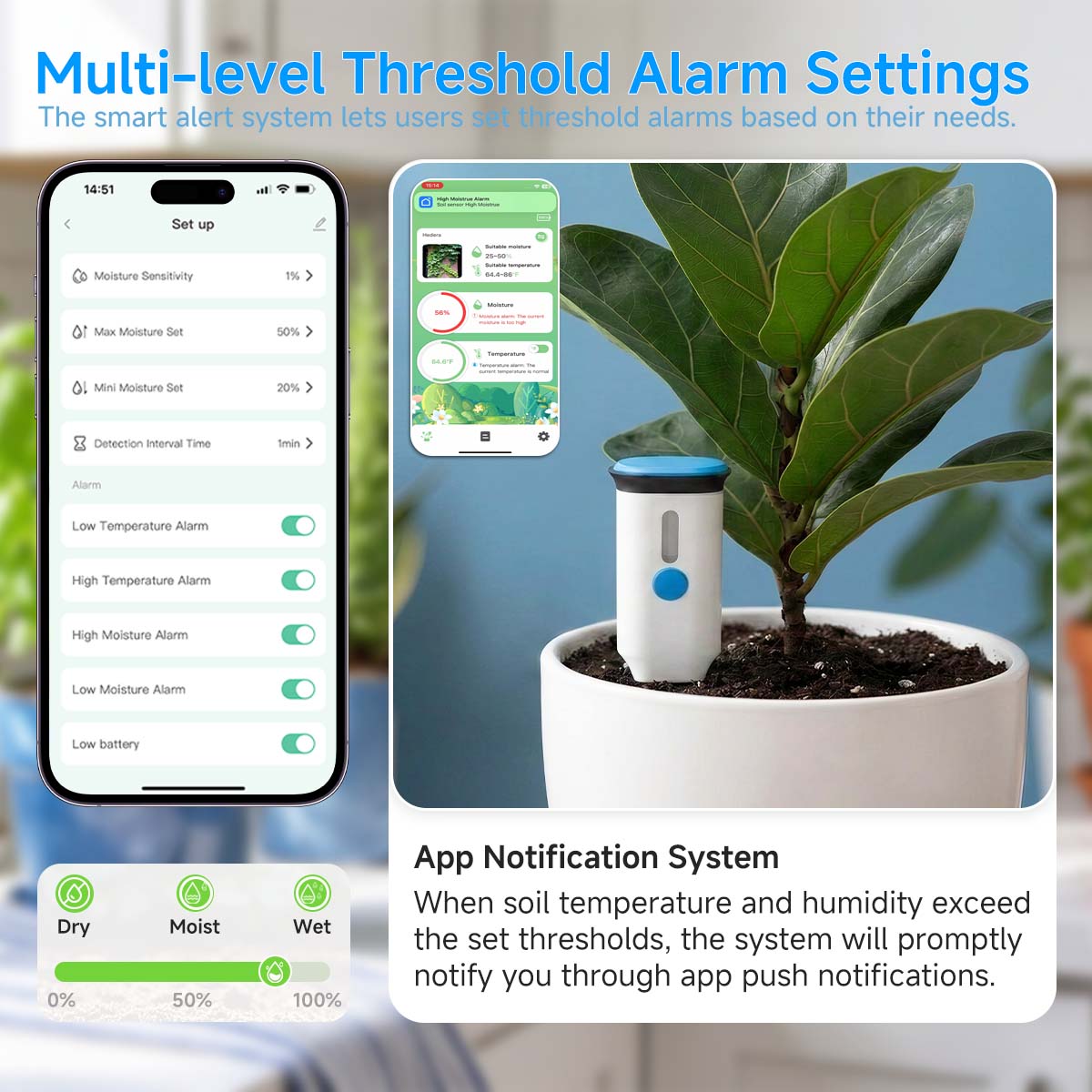 Lifeinnov Soil Moisture Sensor with Soil Temperature, Smart Life App Plant Monitor for Indoor Plants, 2.4 GHz without Hub, Alarm in Too Dry or Wet Soil, Gradient, Data Export