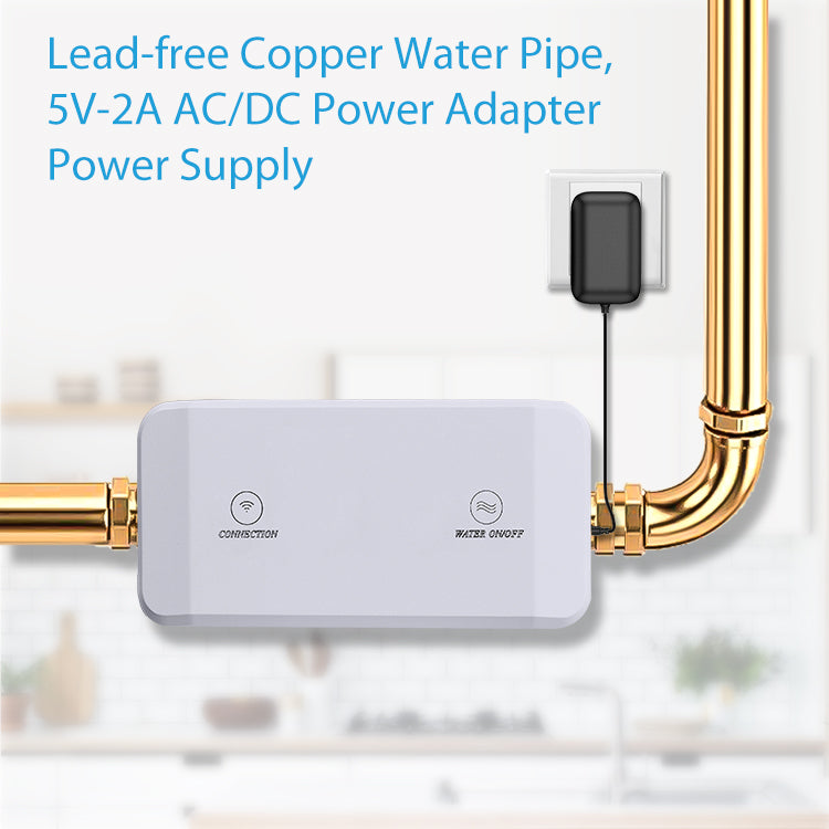 LifeInnov WiFi Smart Water Valve 3/4" DN20 NPT — Tuya/Smart Life, Pressure & Flow Monitor WV02